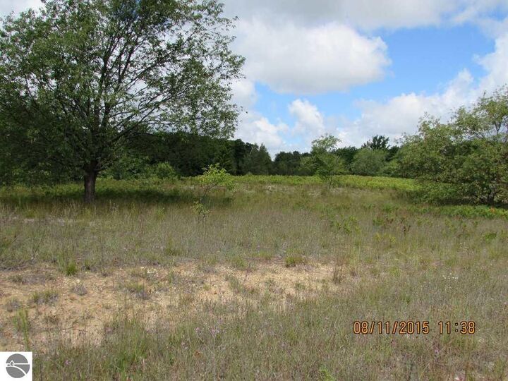 Property Photo:  568 Grouse Drive  MI 49646 