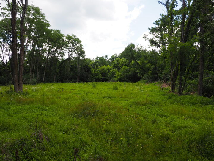 Property Photo:  8185 Camp Ernst Road  KY 41005 