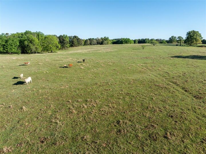 Property Photo:  Tbd State Hwy 147  OK 74756 
