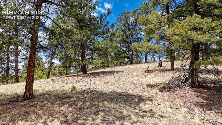 Property Photo:  16 View Circle  CO 80816 