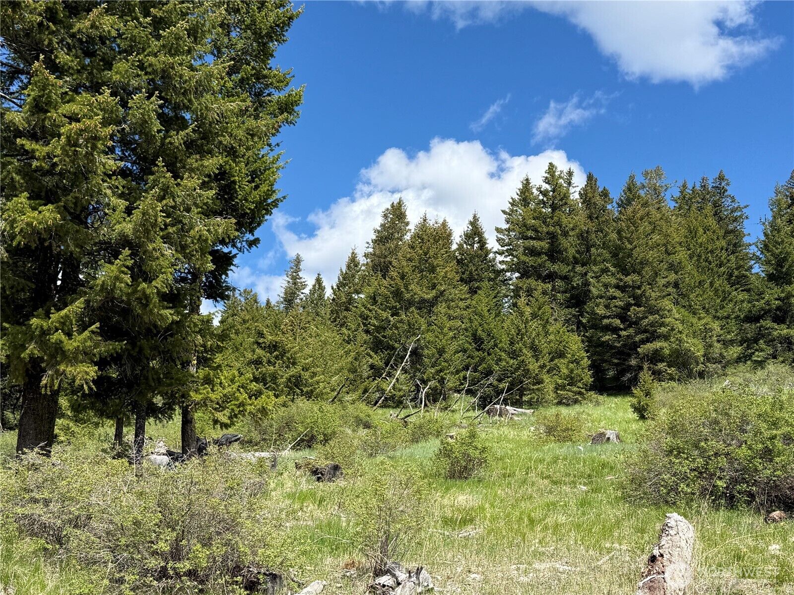 Property Photo:  0  Toroda Creek Road  WA 98859 