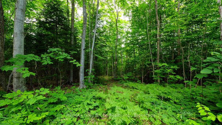 Property Photo: Part 1 Tammy's Cove Road ON N0H 1Z0