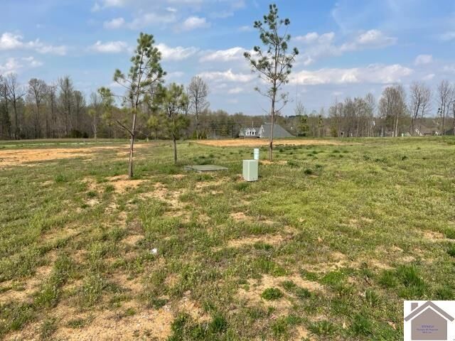 Property Photo: 175 Falling Brook Dr KY 42003
