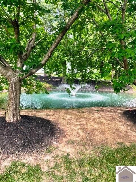 Property Photo: 175 Falling Brook Dr KY 42003