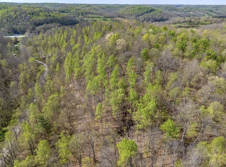 Property Photo:  0 Brinegar Road  KY 40351 