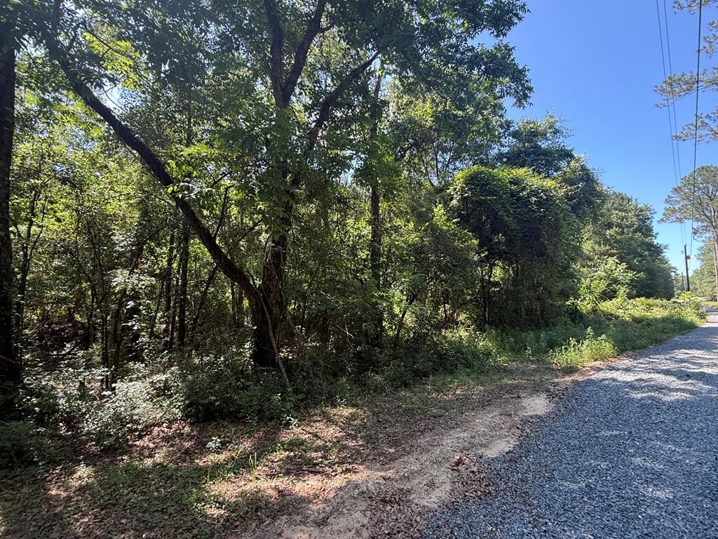 Property Photo:  000 Appian Way  GA 31716 