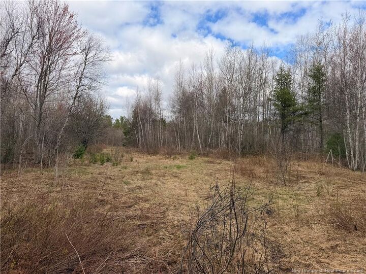 Property Photo:  Lots McLaughlin Road  NB E4W 3S6 