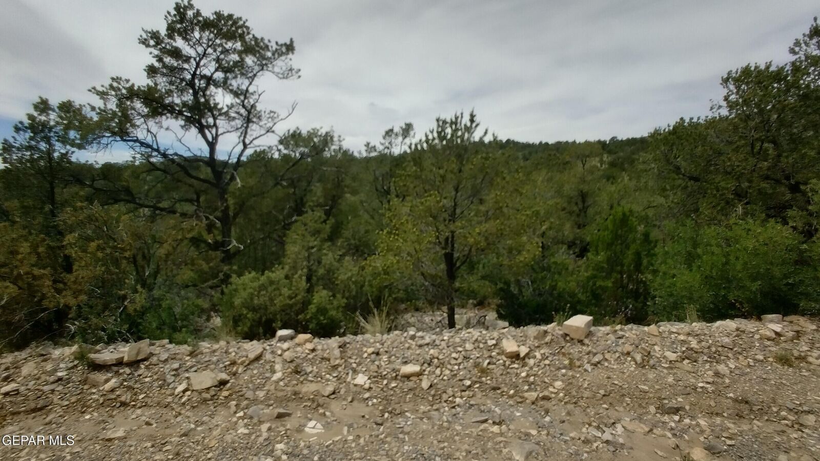 Property Photo:  60 Canyon Road  NM 88350 