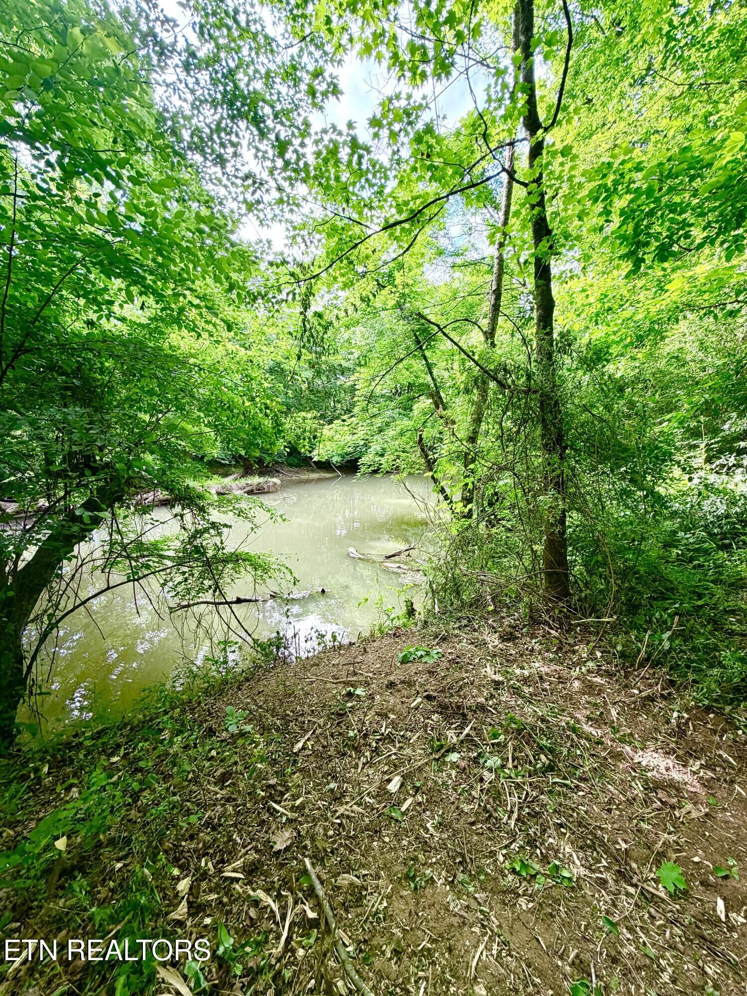 Property Photo: 811 Trigonia Rd TN 37801