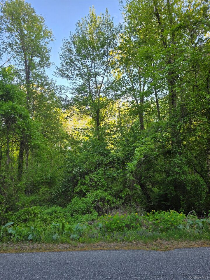 Property Photo:  122 Archer Rd  NY 10541 