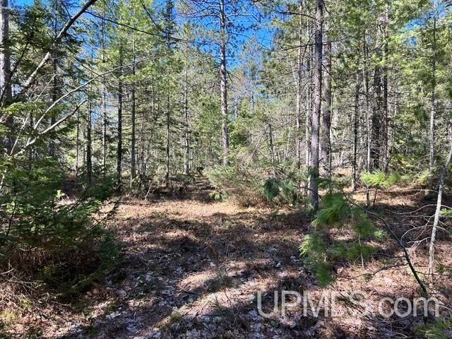 Property Photo:  Unit 61 Little Rice Lake Road  MI 49945 