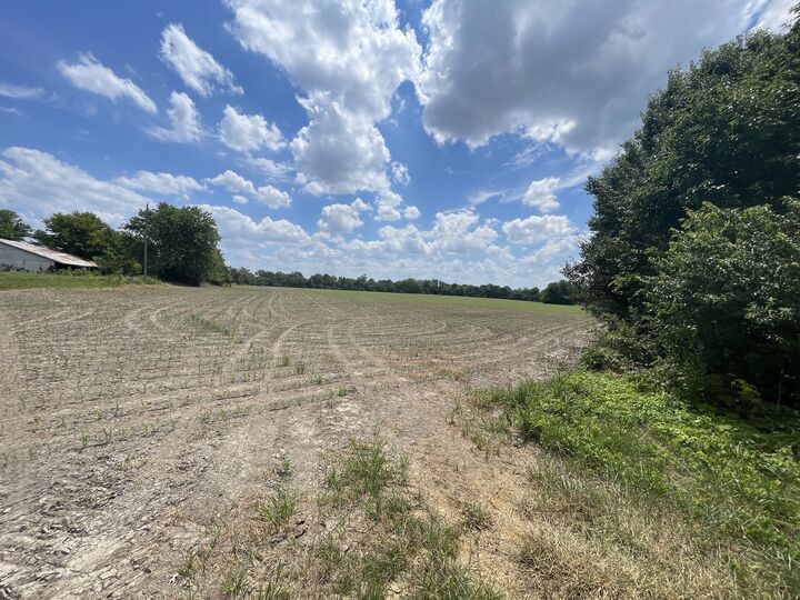 Property Photo:  Tbd Old Bainbridge Road  IL 62959 