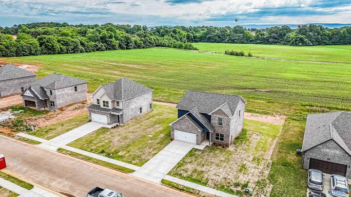 Property Photo:  147 Flintlock Way  AL 35761 