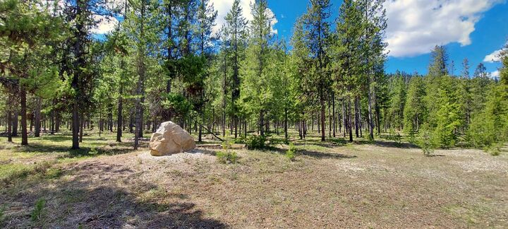 Property Photo:  Nhn (Parcel A) Deer Walk Way  MT 59829 