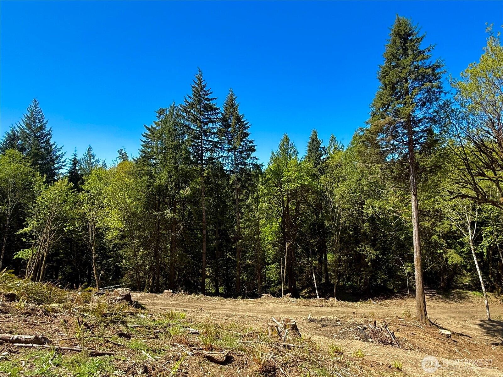 Property Photo: 75 E Lakewood Drive WA 98528
