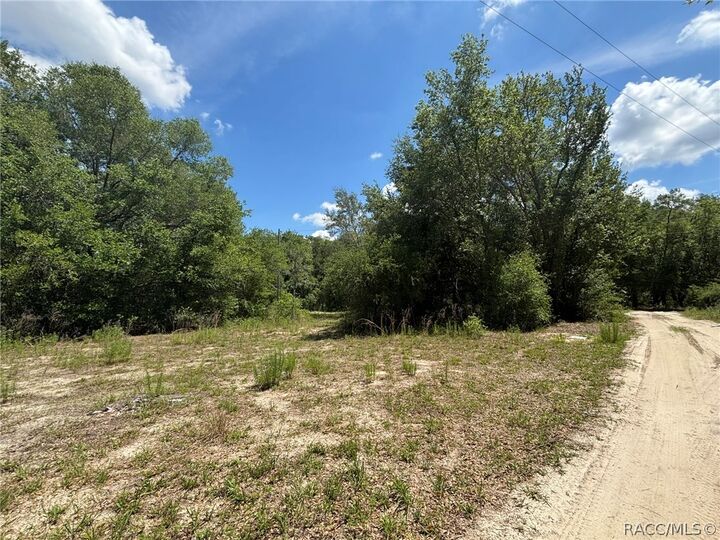 Property Photo:  2608 Polk Street  FL 34453 