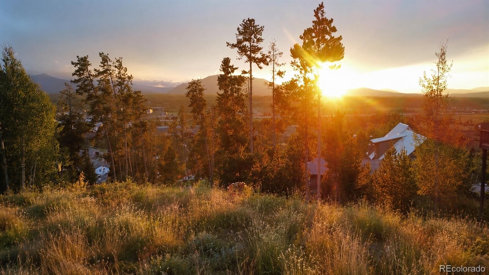 Property Photo:  832 Wapiti Drive  CO 80442 