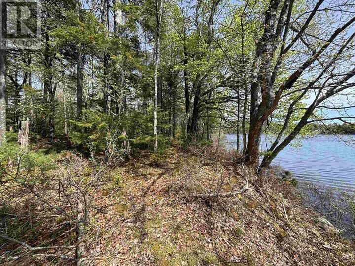 Property Photo:  Lot 7-23 Highway 325  NS B4V 8H3 