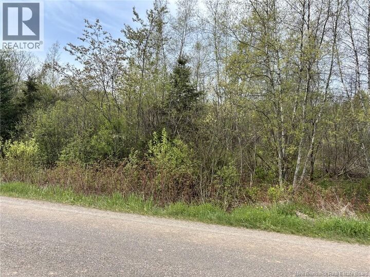Property Photo:  Lot Blakney Road  NB E4Z 2V1 