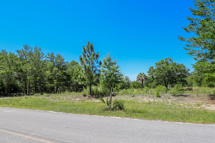 Property Photo:  1252 Trout Drive  FL 32433 