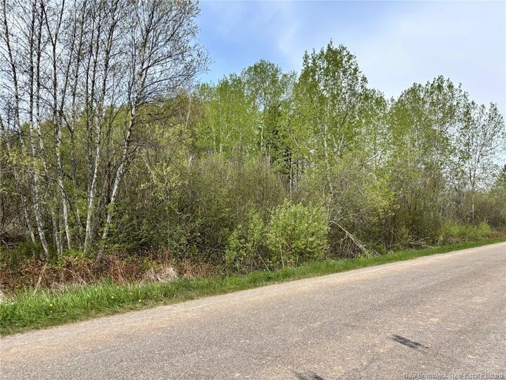 Photo de la propriété:  Lot Blakney Road  NB E4Z 2V1 