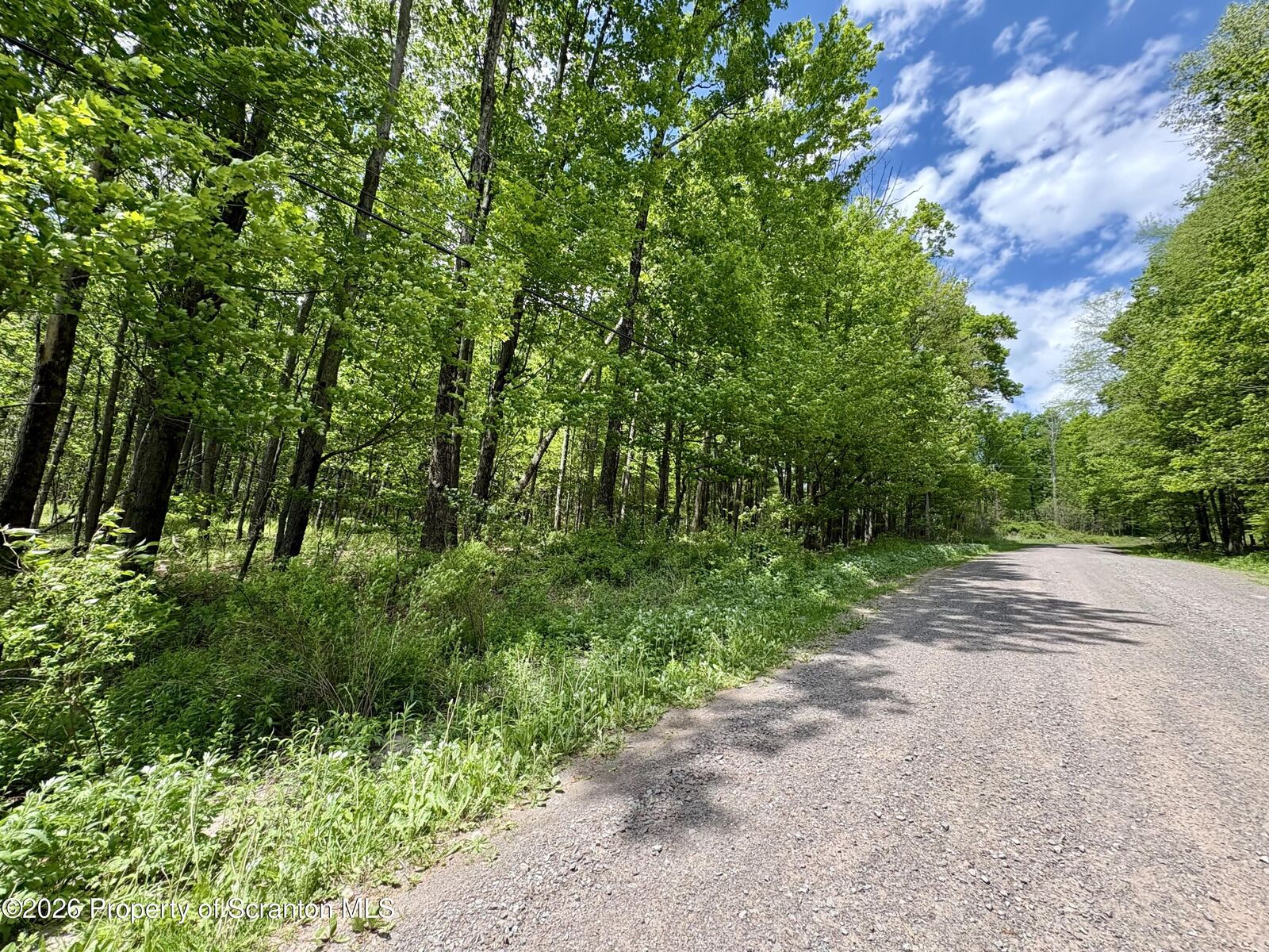 Property Photo:  Marys Lane  PA 18444 