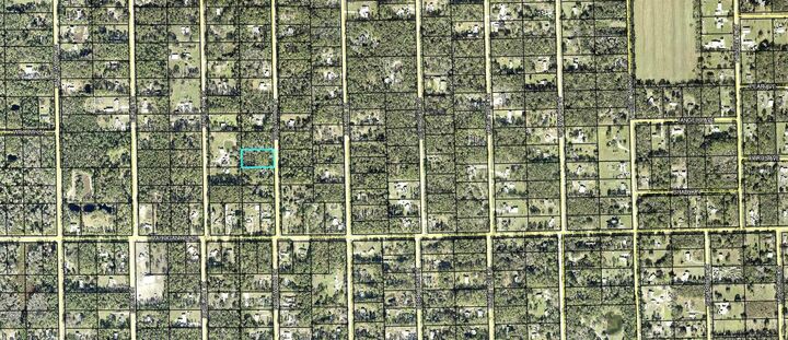 Property Photo:  1352 Rosewood Street  FL 32110 