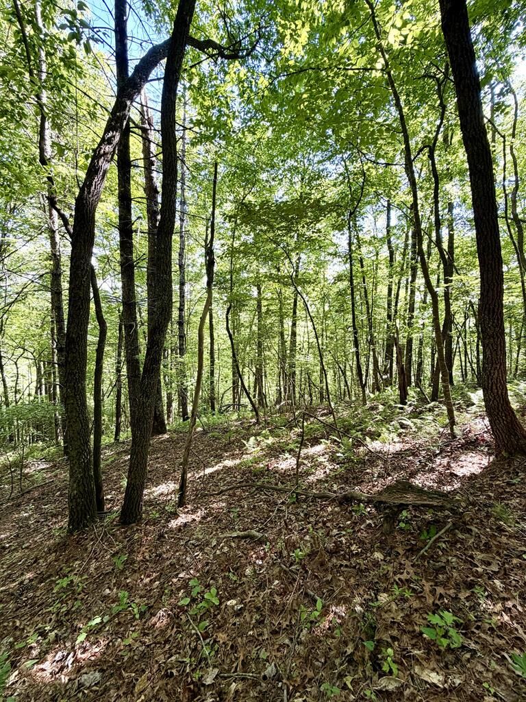 Property Photo:  675 Ed Graves Rd  NC 28906 