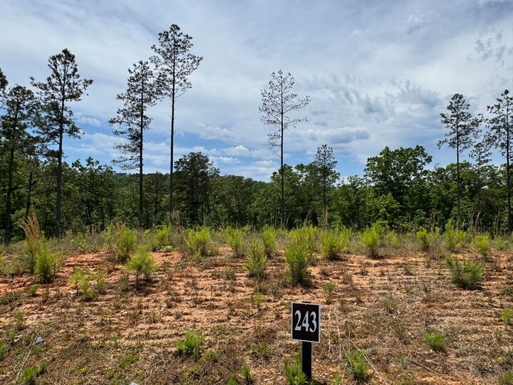 Property Photo:  Lot 243 Spear Point Dr  GA 30175 