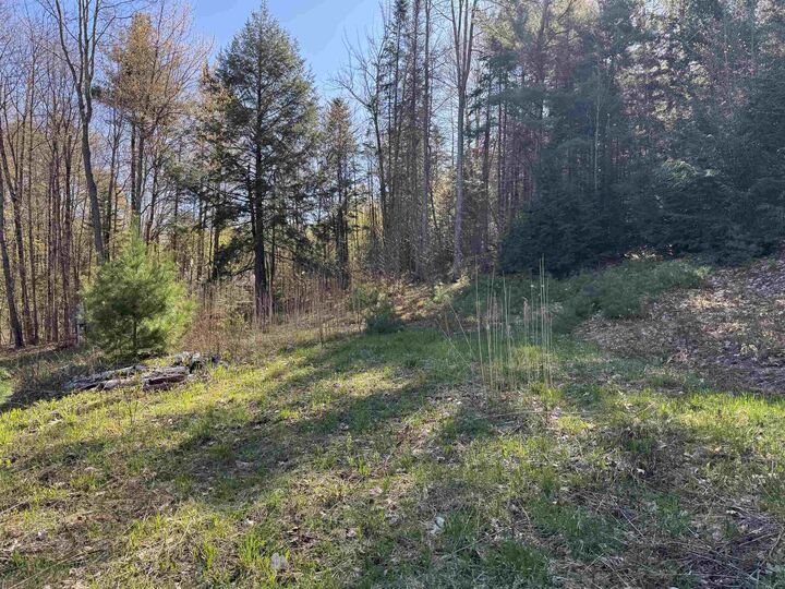 Property Photo:  807 Kidderhood Road  VT 05083 