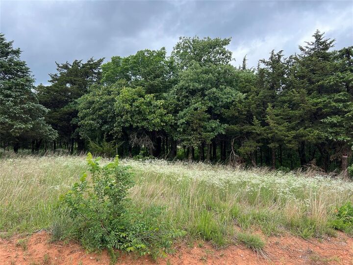 Property Photo:  9740 Cedar View Lane  OK 73044 