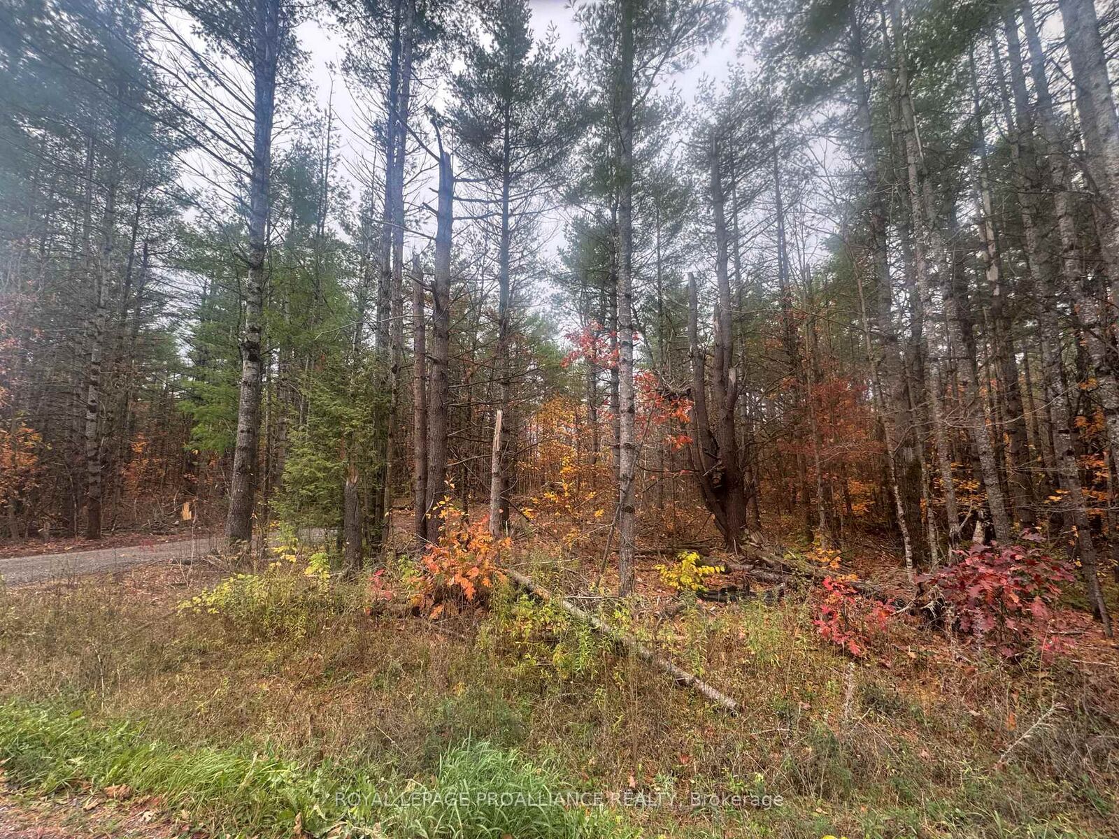 Property Photo:  945 Shanick Road  ON K0K 2M0 