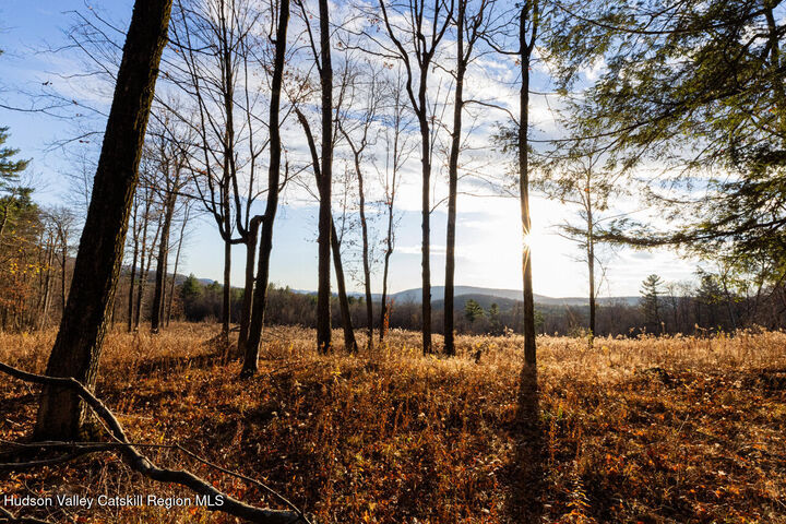 Property Photo: 0 Mitchell NY 12529