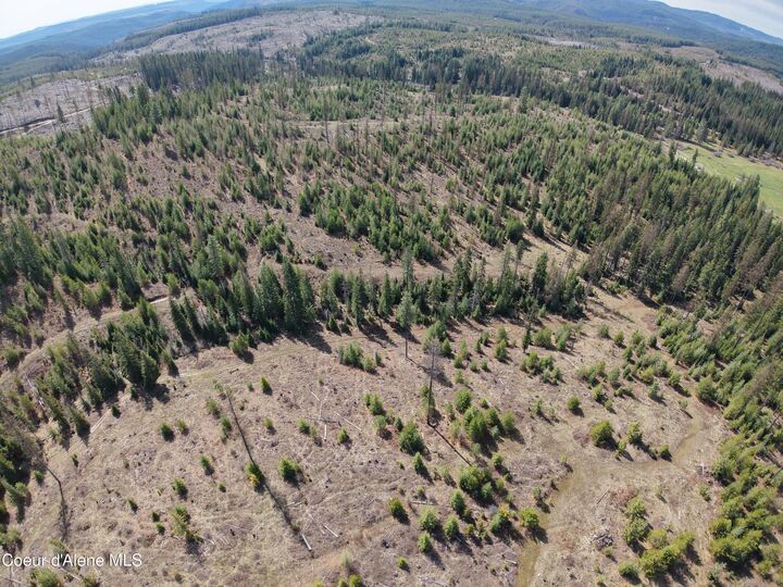 Property Photo:  Nka Park Road 100 Acres  ID 83827 