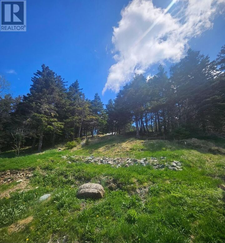 Property Photo:  90 Salmon Cove Road  NL A0A 1W0 
