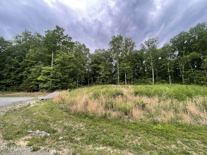 Property Photo: Willow Ridge Drive TN 38571