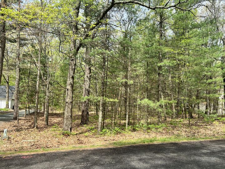 Property Photo: Lot 95 Iroquois Road MI 49449