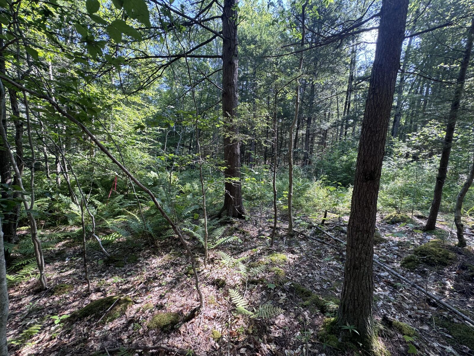 Property Photo:  L24 Poplar Ridge Drive  ME 04105 