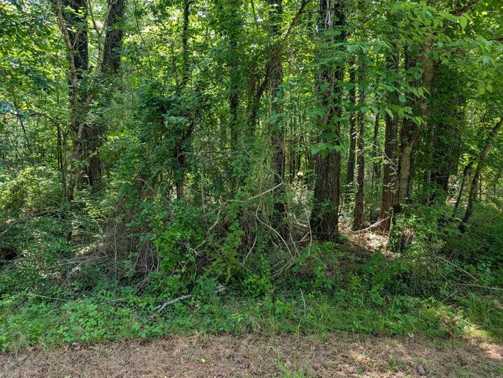 Property Photo:  0 Montgomery  TN 37387 
