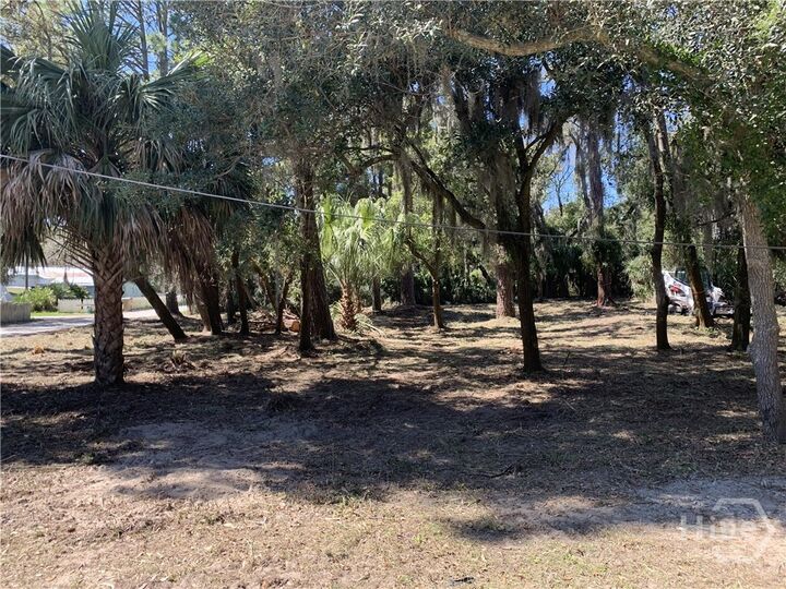 Property Photo: 0 McKenzie Avenue GA 31328