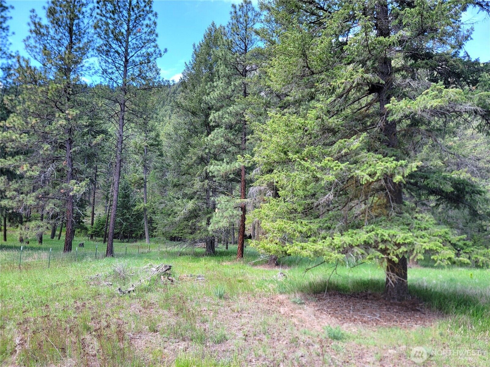 Property Photo:  0  Evergreen Drive  WA 99118 