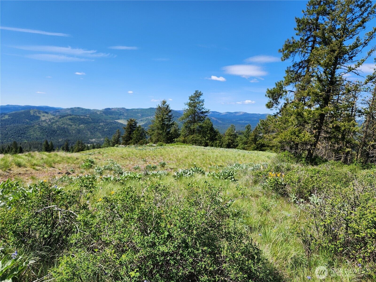 Property Photo:  0 E Knob Hill Road  WA 99166 