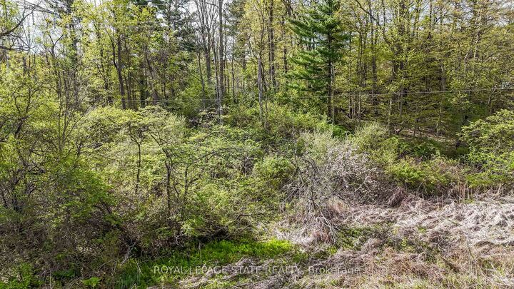 0 Mineral Springs Road — photo 1