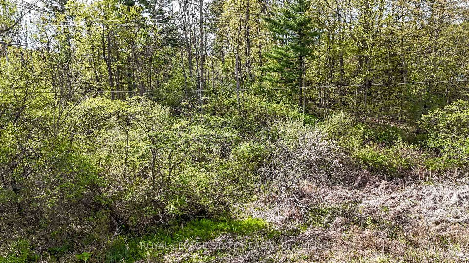 Property Photo:  0 Mineral Springs Road  ON L9G 4X1 