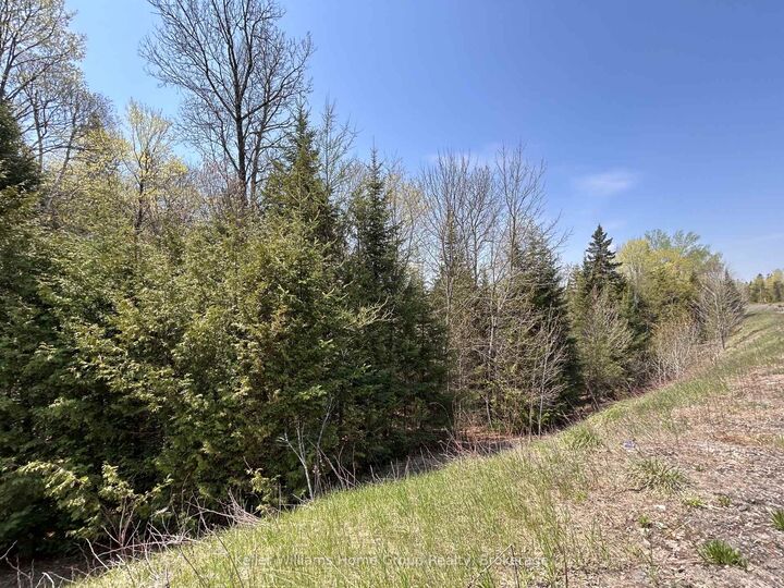 Property Photo:  0 Highway 118 N/A  ON K0L 1C0 