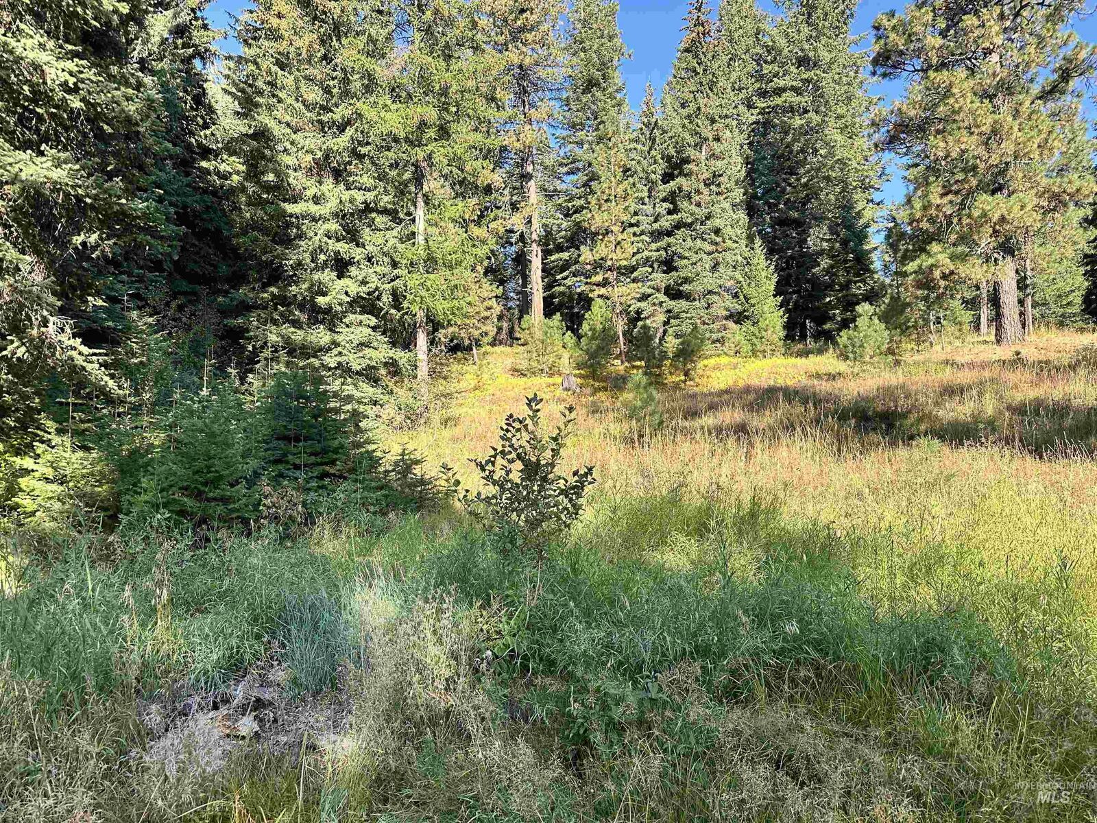 Property Photo:  2195 Davy Road  ID 83615 
