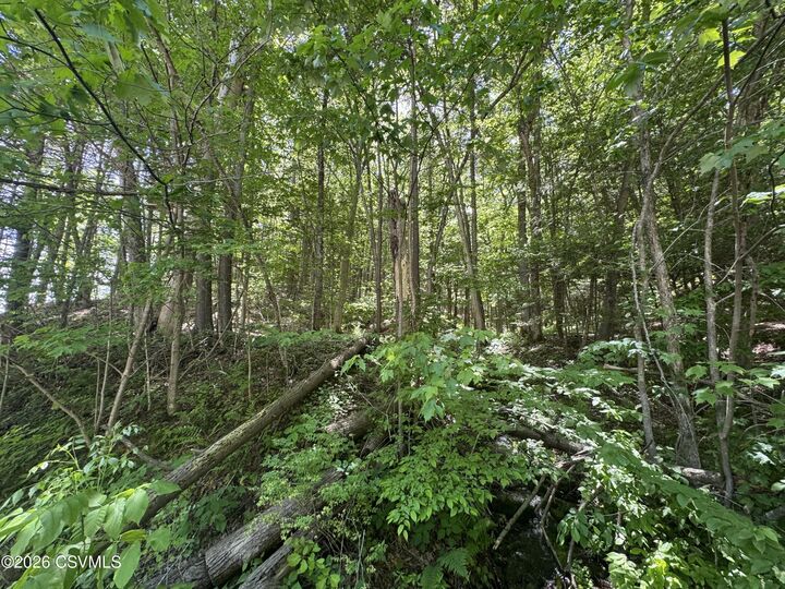 Property Photo:  442 State Street  PA 17846 