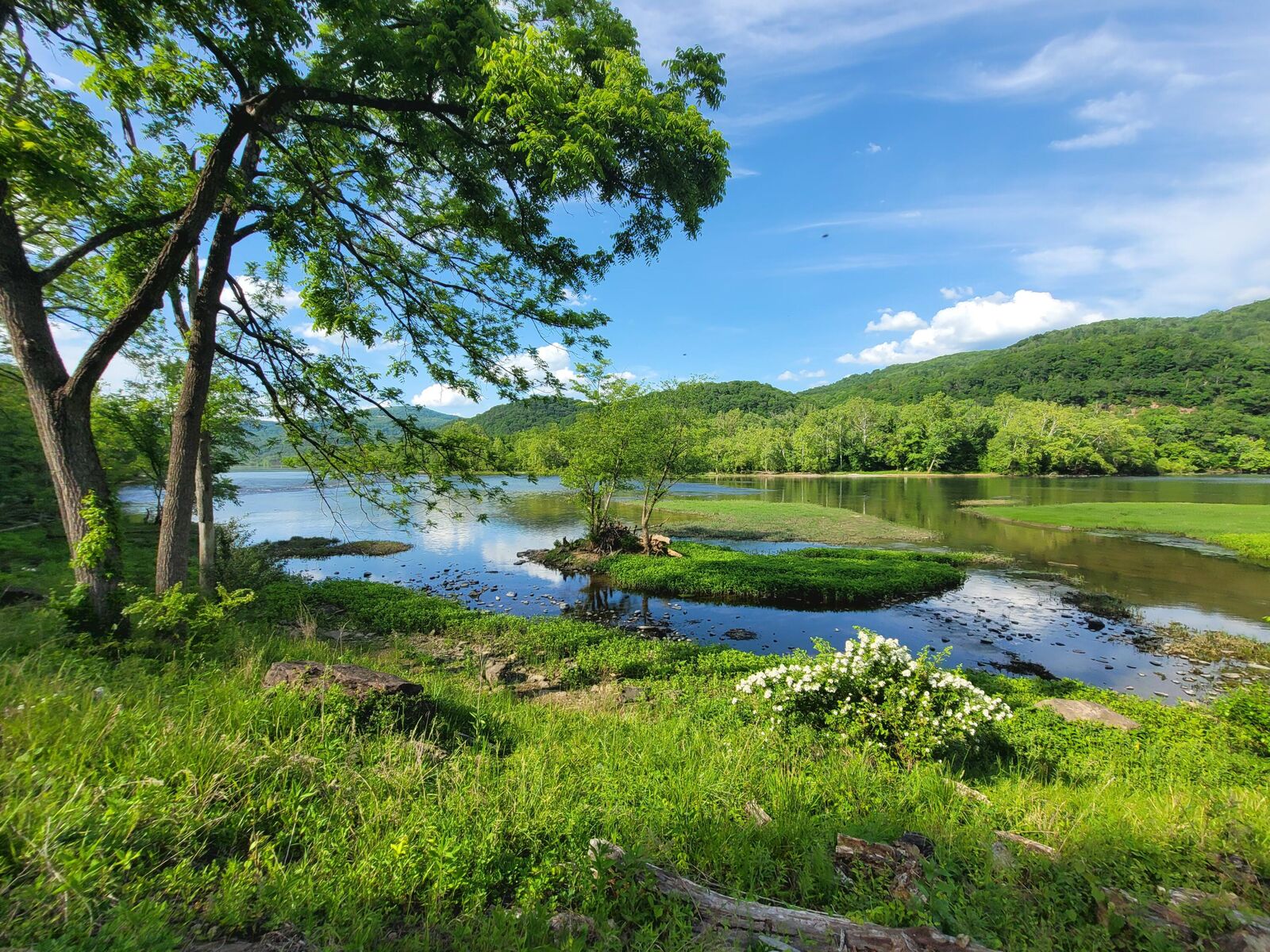 Property Photo: 1353 New River Rd WV 25951