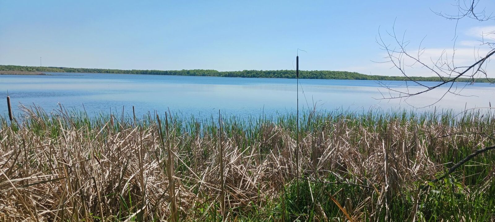 Property Photo: 25xxx Broadway Avenue MN 56501