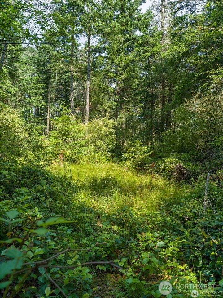 Property Photo: 0 Eliza Road WA 98261